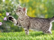 Травень розпочнеться з опадів