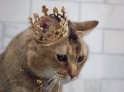 Раки и Весы будут чрезвычайно успешны в делах