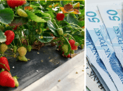 Работа в Польше