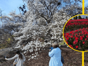 Погода в Україні