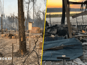 Вогонь знищив більш як тисячу будинків: на Харківщині вигоріло ще одне селище (фото, відео)