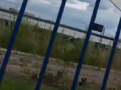 Здесь тренировались гранды футбола: в сети показали видео стадиона в Донецке