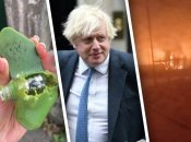 Главные события ночи с 3 и 4 февраля