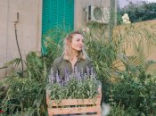 Какой сегодня праздник - Силин день