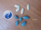 Дражоване та звичайне насіння огірків