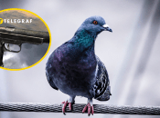 Люди не постраждали