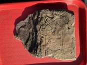 Камень "Воин Гована"