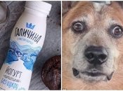 "Галичина" возмутила подписчиков