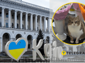 Кошка возле цветов, Киев