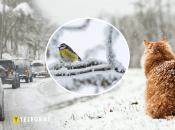 Погода в Украине зимой