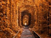 Тунель кохання біля Рівного