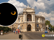 В Одессе на Трассе здоровье заметили лису