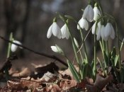 Синоптики рассказали, какой погоды ждать в ближайшие дни