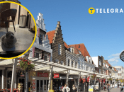 Тюленя знайшли в готелі міста Вліссінген