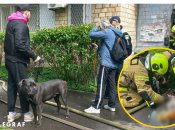 Место трагедии