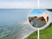 Тилігульський лиман