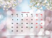 Через воєнний стан святкових вихідних у травні не буде