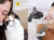 Унікальна поведінка домашнього улюбленця