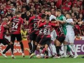 Драки требуют легализировать