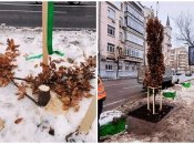 Вандалов разыскивают