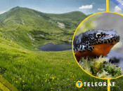 Ілюстративне фото