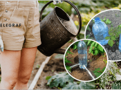 Як зробити крапельний полив власноруч