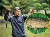 Трофейный улов