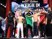 Иноуэ — Пикассо