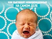 Как выглядит новорожденный: ожидание и реальность