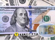 Скільки часу потрібно відкладати по 1 гривні, аби мати 100 доларів