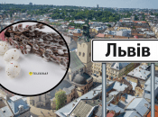 Погода во Львове