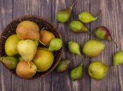 Украинские фразеологизмы о грушах