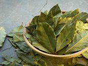 Вам допоможе звичайний лавровий лист