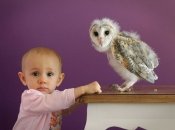 Лучшие фото животных со всего мира за неделю