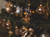 Стильні та незвичайні рішення на рік Тигра