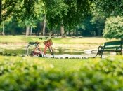 Погода на початку літа буде помірно теплою