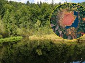 Озеро Журавлиное (Мертвое) в парке «Сколевские Бескиды»