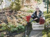 Деякі культури ще зростатимуть на городі восени