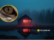 Зверь напугал людей