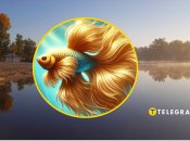 Чи загадав рибалка бажання, він не розповів