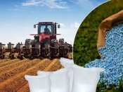 Урожай будет и без удобрений. Вопрос – какой