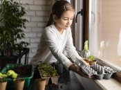 Свежая зелень в доме радует глаз и полезна