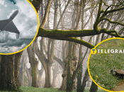 Ліс, "Шахед", міна