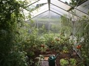 Розкриваємо великий секрет