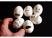 Сезонні явища впливають на лише 5% вироблених в Україні яєць