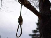 Петля на дереві