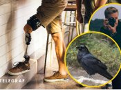 Скандал із вороною в Одесі