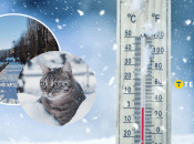 Погода в Украине зимой