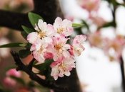 Прогноз погоди на березень