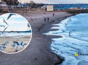 Черное море в Одессе